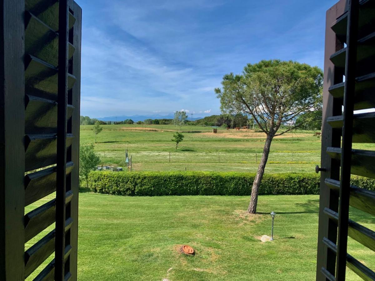 Podere Il Giurato Fauglia Exteriér fotografie