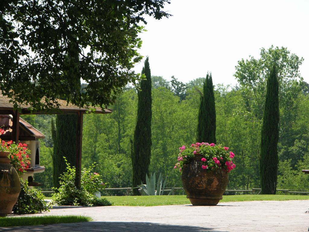 Podere Il Giurato Fauglia Exteriér fotografie