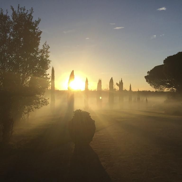 Podere Il Giurato Fauglia Exteriér fotografie